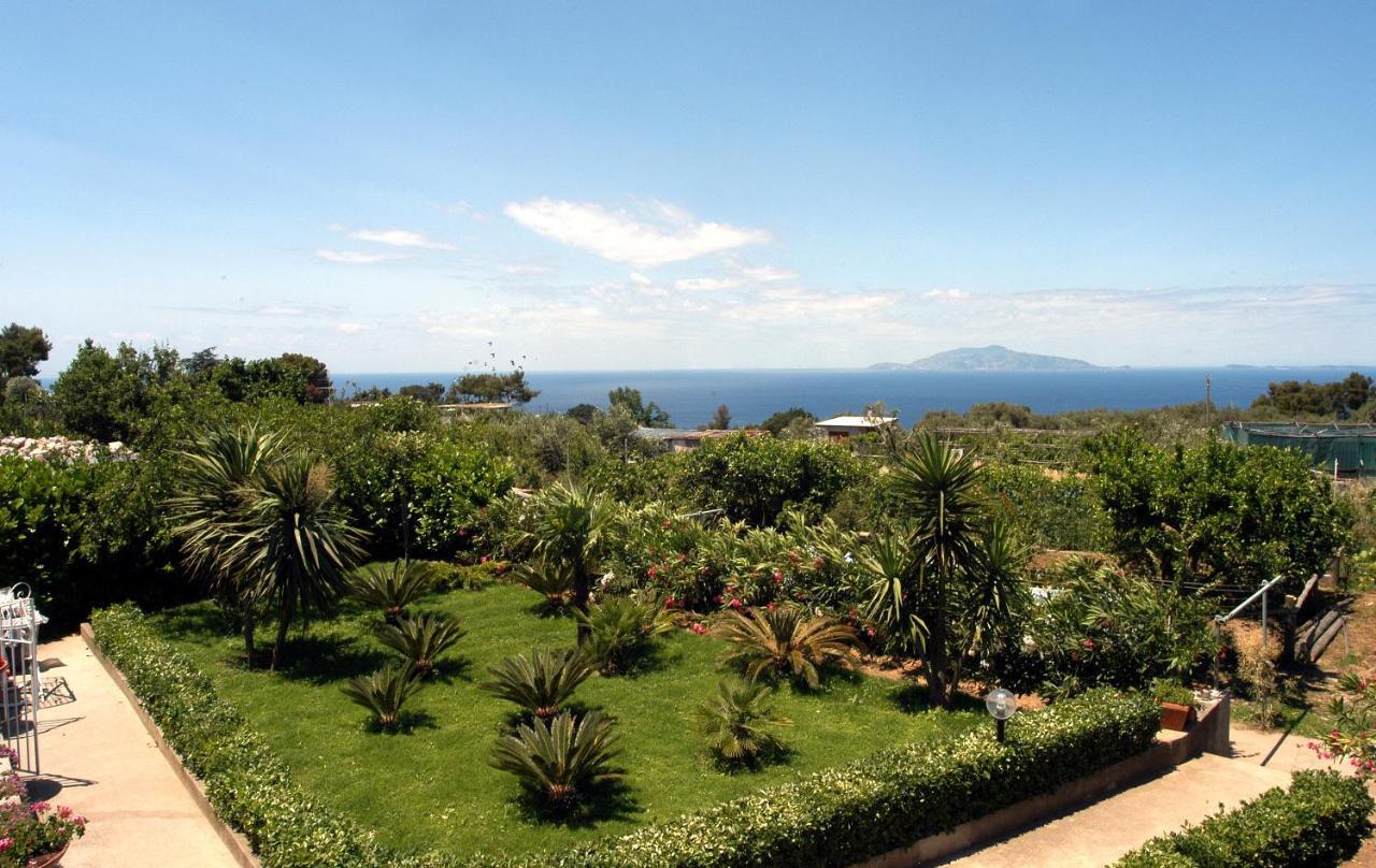 Villa Damecuta B&B Anacapri  Zewnętrze zdjęcie