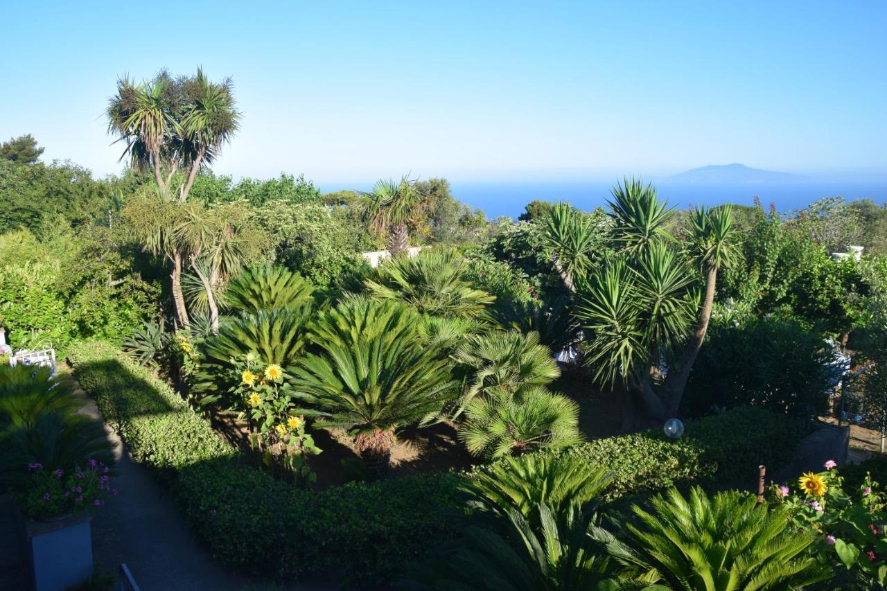Villa Damecuta B&B Anacapri  Zewnętrze zdjęcie