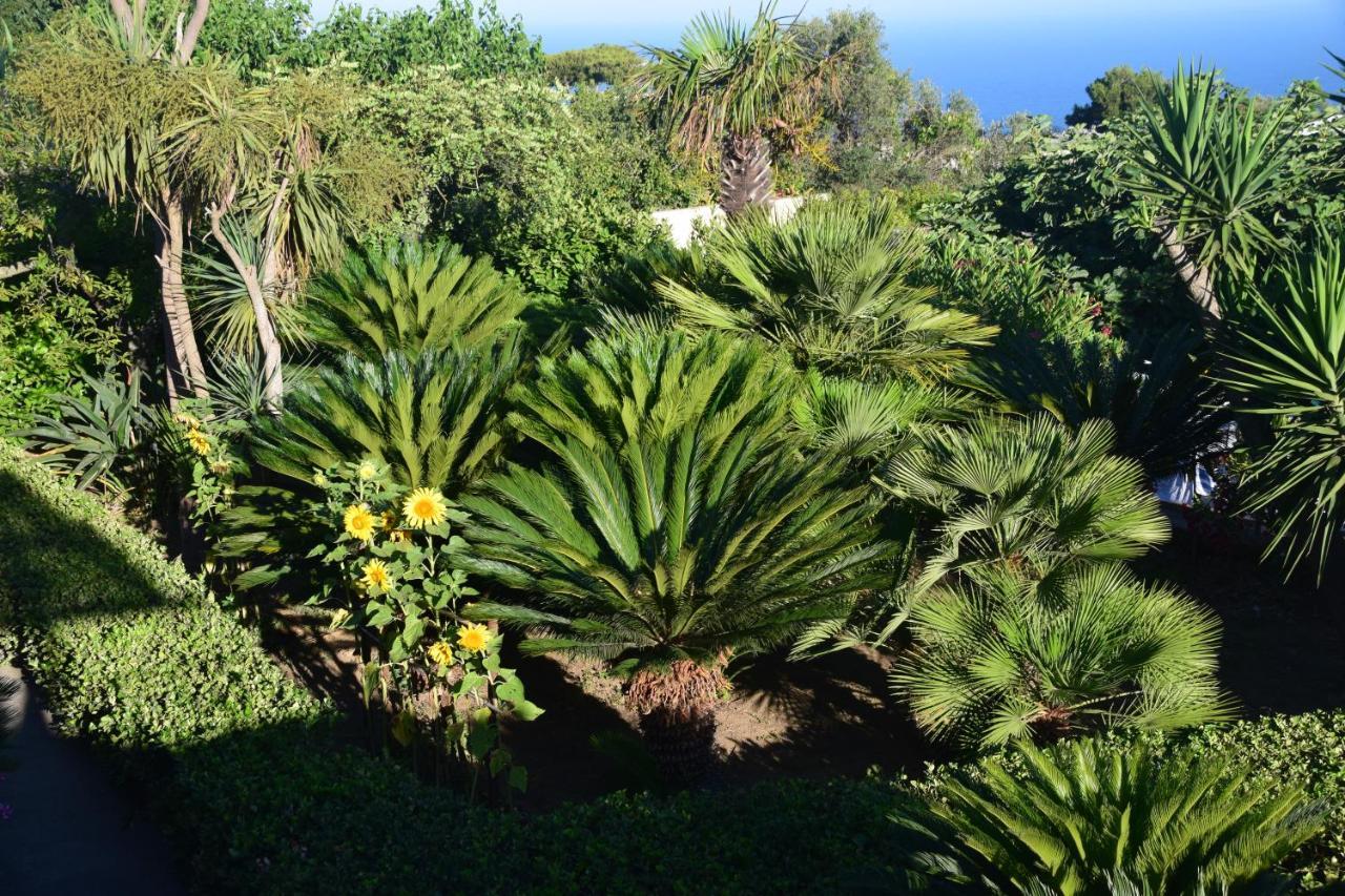 Villa Damecuta B&B Anacapri  Zewnętrze zdjęcie