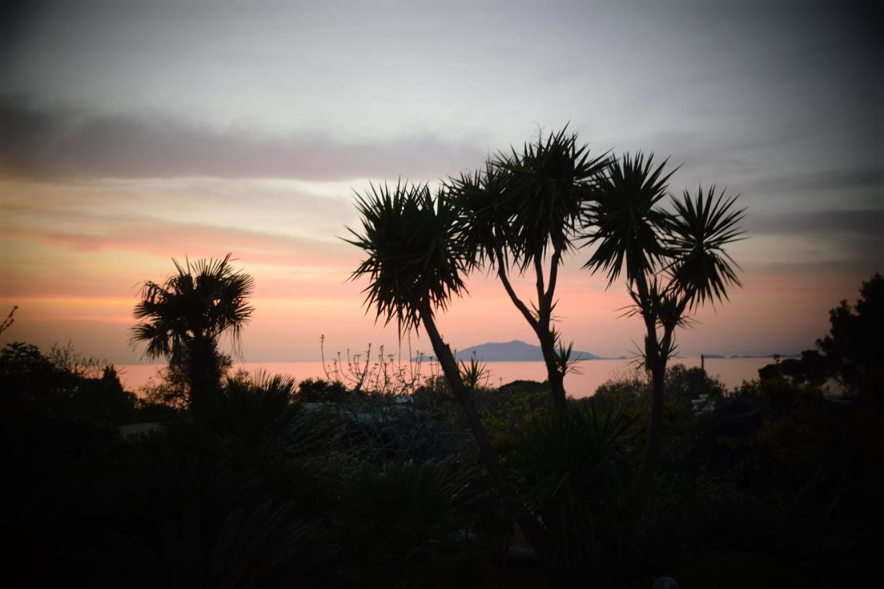 Villa Damecuta B&B Anacapri  Zewnętrze zdjęcie