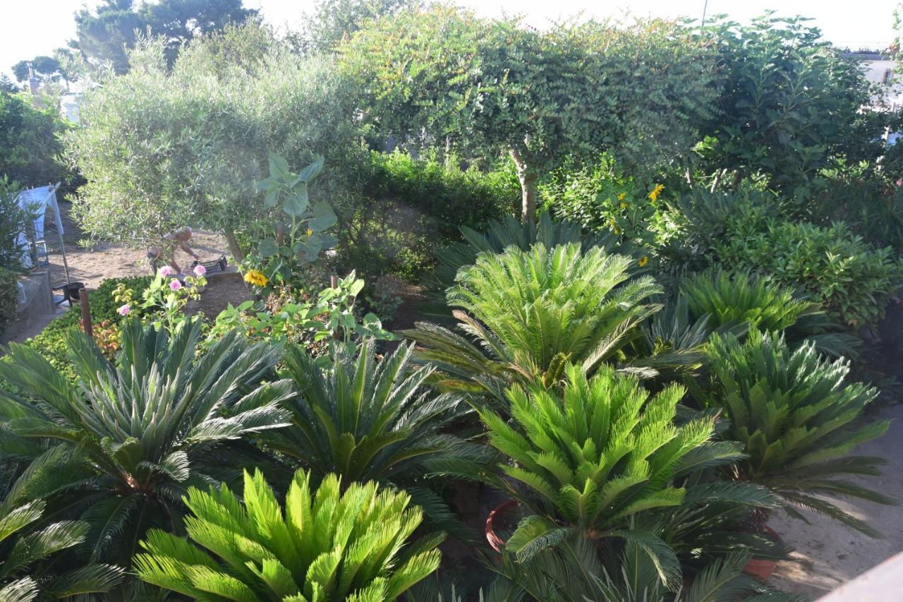 Villa Damecuta B&B Anacapri  Zewnętrze zdjęcie